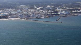 Cuatro trabajadores de una planta nuclear japonesa, salpicados con agua contaminada