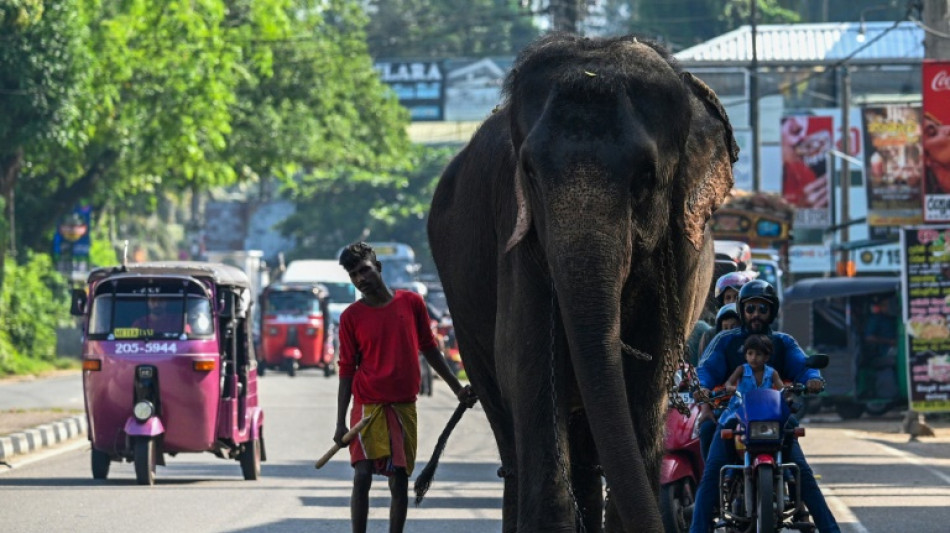 Sri Lanka bans single-use plastics to save elephants