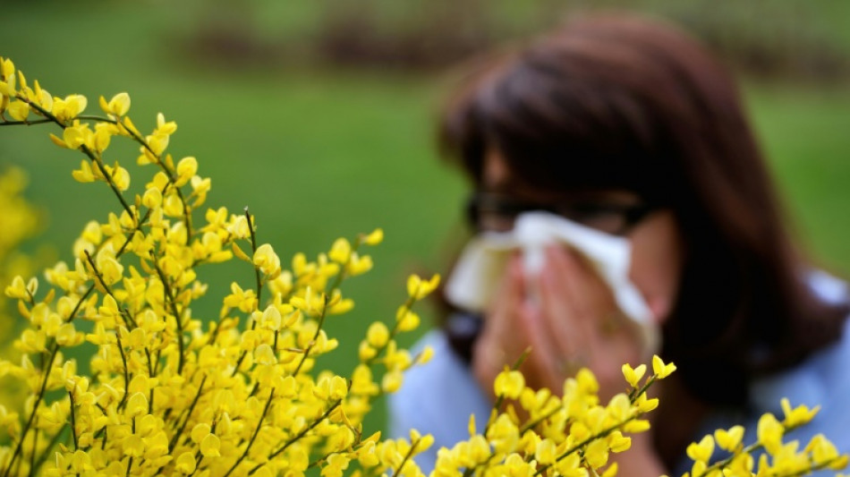 Pollensaison bereits begonnen - Durch Klimawandel blühen Bäume immer früher