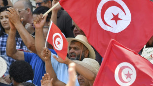 Major Tunisia party urges boycott of constitution vote