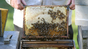 Les abeilles souffrent du changement climatique, avertit l'Unaf