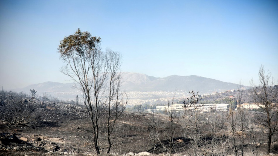 Griechische Feuerwehr dämmt Waldbrand nahe Athen ein