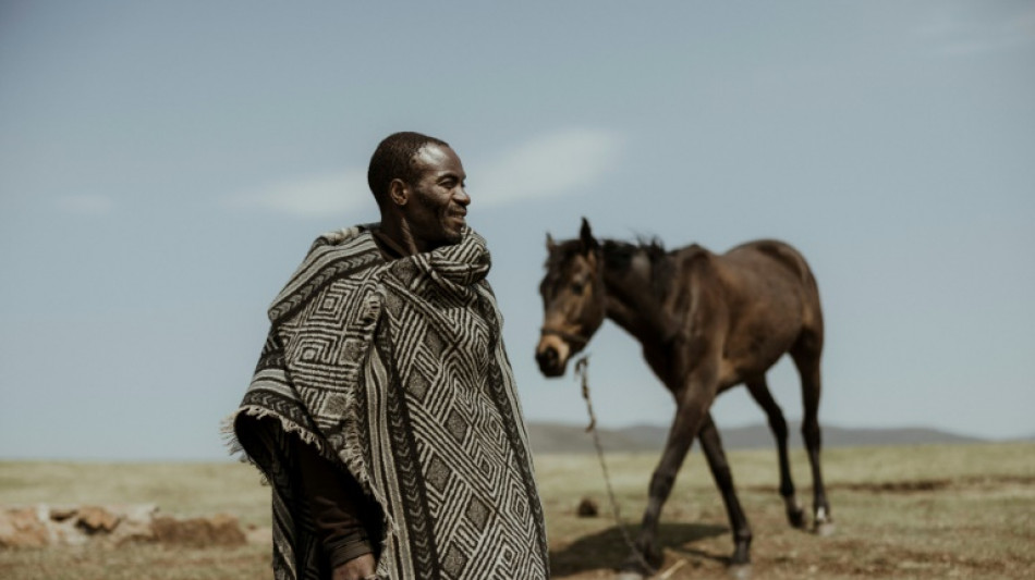 Dans les montagnes du Lesotho, le temps long, les ânes et les brebis