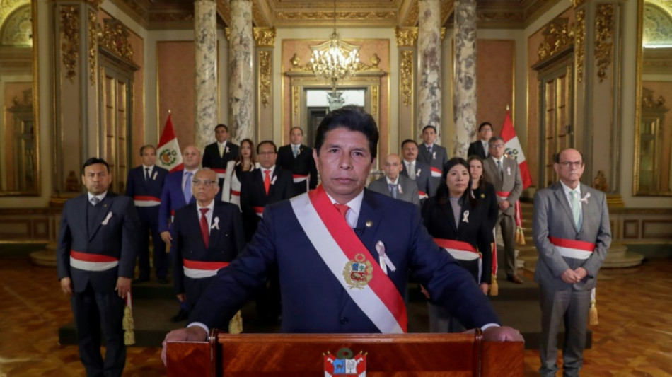 OAS mission will 'analyze' Peru political crisis