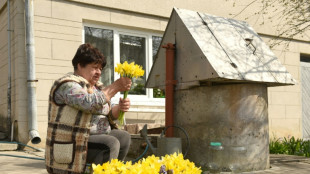 En medio de la guerra, las flores de primavera adquieren tintes patrióticos en Ucrania