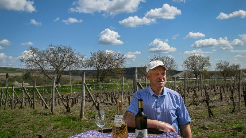 De la Russie à l'Europe, le pari gagnant des vignes moldaves