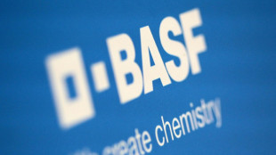 Chemiegigant BASF zieht sich aus Russland und Belarus zurück