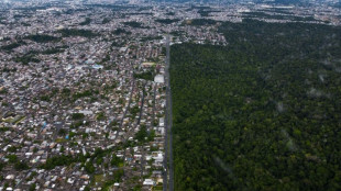 Un crecimiento verde en la Amazonía atraería miles de millones de dólares, según un estudio