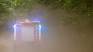 Brand im Berliner Grunewald löst Großeinsatz der Feuerwehr aus