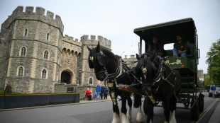 A un mes del jubileo de Isabel II, Windsor en plena ebullición