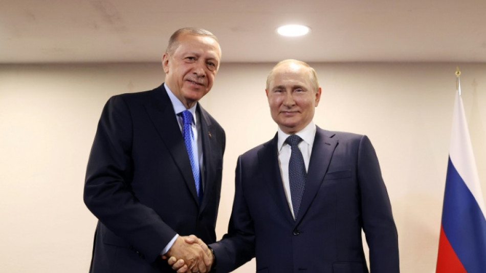 Ucrania y Siria centran la reunión de Erdogan y Putin en Rusia