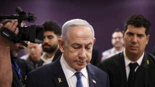 Netanyahu, 'agiremo con forza contro gli Houthi'