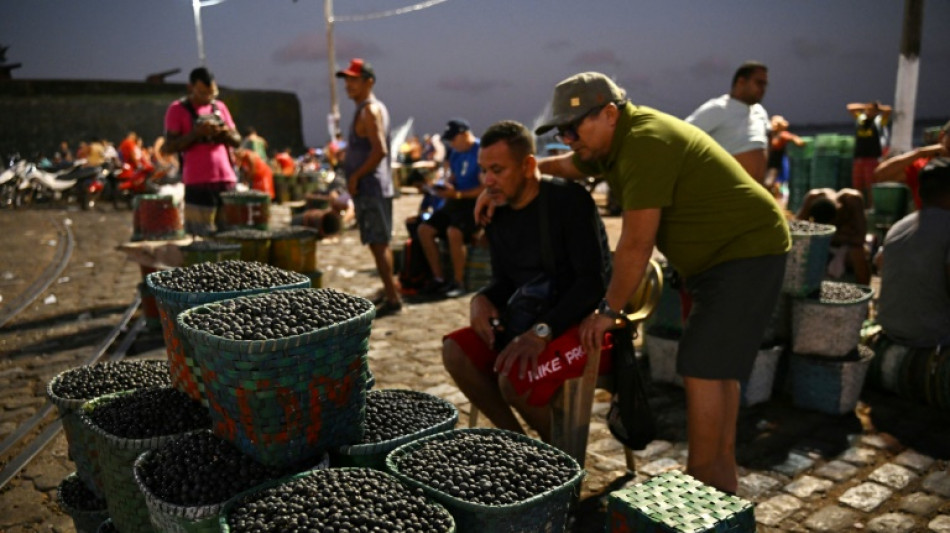 Le boom de l'açai, une chance et une menace pour l'Amazonie brésilienne