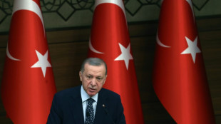 Turquía "no está en condiciones" de ratificar la adhesión de Suecia a la OTAN