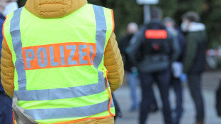 Ein Verletzter bei nächtlichem Brandanschlag auf iranische Schule in Hamburg