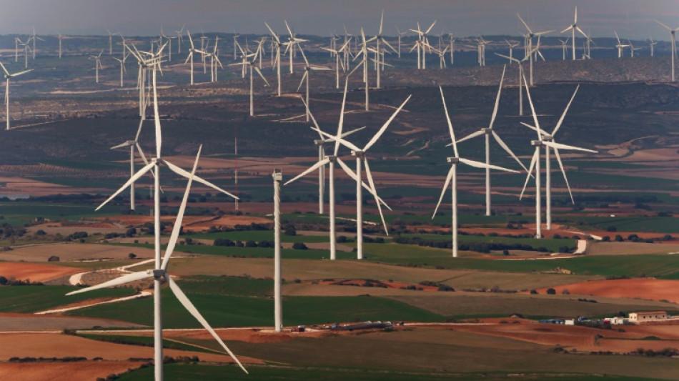 Favourable breezes boost Spain's wind power sector