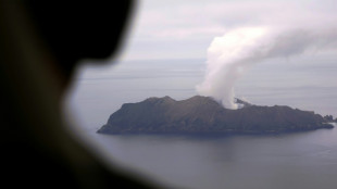 Volcanic eruption grounds flights in New Zealand