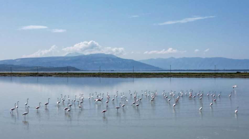 El nuevo aeropuerto de Albania preocupa a los ambientalistas