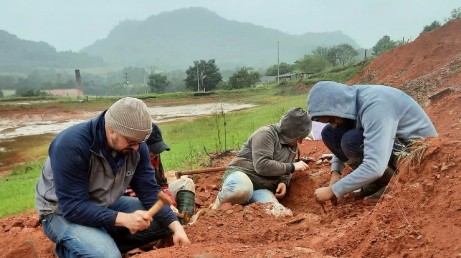 Fósil de dinosaurio de 230 millones de años, expuesto por lluvias en el sur de Brasil