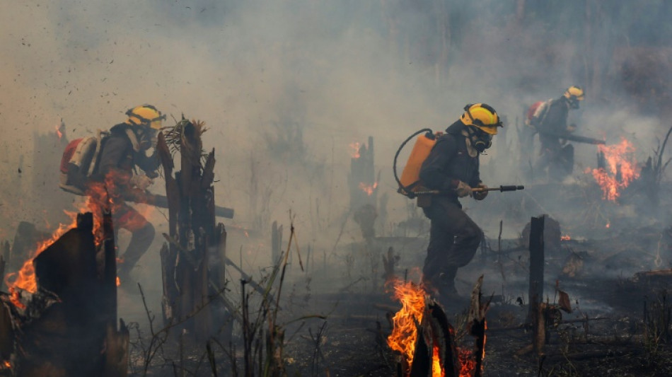 Brazil sees area burned by fire nearly double in November