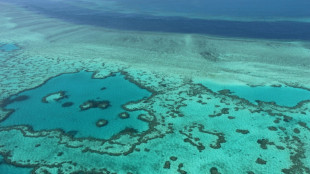 La Unesco aplaude el compromiso económico de Australia para porteger la Gran Barrera de Coral