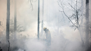 Feux de forêt: un été record de surfaces brûlées en Europe