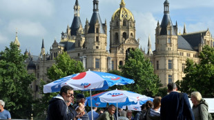 Umfrage: AfD baut Vorsprung vor anderen Parteien in Mecklenburg-Vorpommern aus