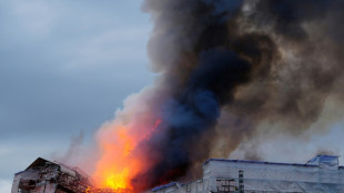 Fire at Copenhagen landmark 'under control'