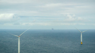 Norway opens world's biggest floating wind park