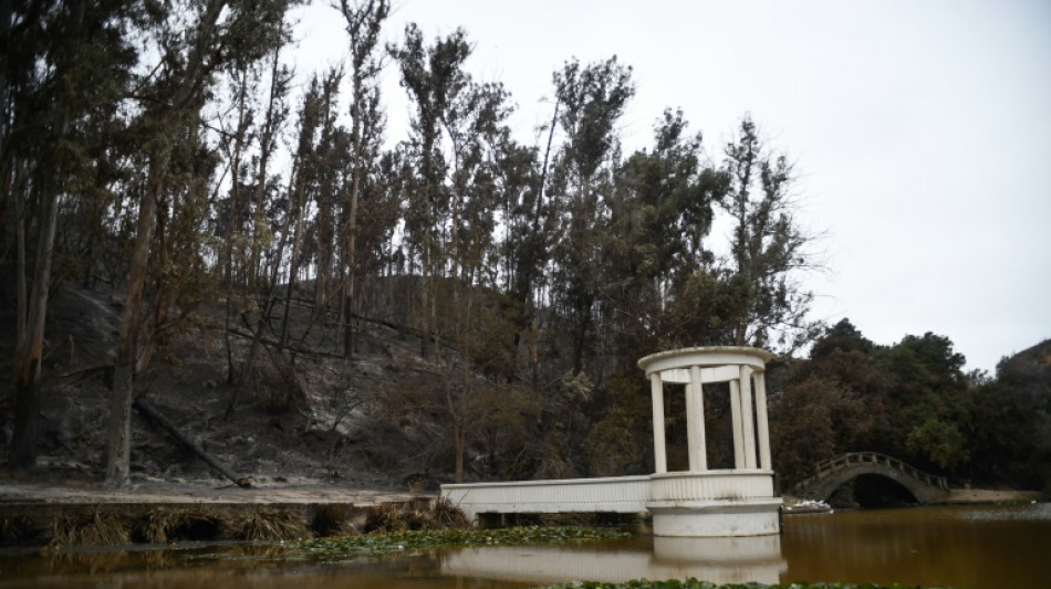 Chile's biggest botanical garden like 'smoker's lung' after wildfire