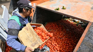 Bolivia's breadbasket squeezed by pro-Morales blockades