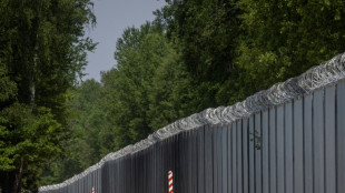 Polen stellt Grenzwall zu Belarus fertig