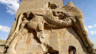 The stone-eaters that threaten Iran's ancient Persepolis