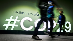 COP29 entra na reta final para obter acordo financeiro sobre o clima