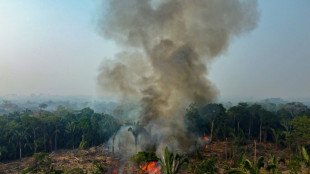 Amazônia Legal registra quase 3.000 incêndios, um recorde para o mês de fevereiro