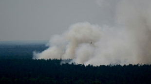 'Unprecedented' fire rips through munitions site in Berlin forest