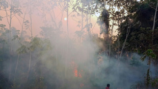 Poblados indígenas amazónicos en Bolivia afectados por incendios forestales