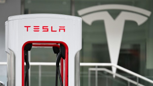 Regulador investiga nos EUA programa de condução autônoma da Tesla