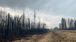 Los incendios en Canadá se atenúan pero muchos sigue descontrolados