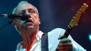 Money for something: Dire Straits legend to sell guitar collection