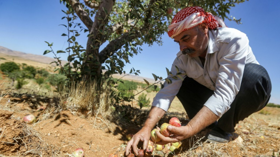 Mudança climática ameaça agricultura no mundo todo