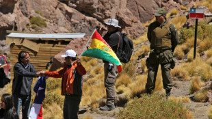 Chile y Bolivia cerraron argumentos orales ante la CIJ en disputa por el río Silala