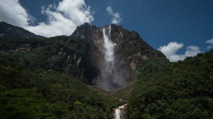 Cinco puntos sobre Venezuela