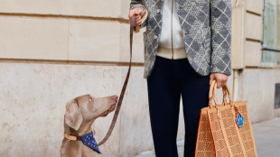 Louis Vuitton celebra l'amore per i cani con Pharrell Williams