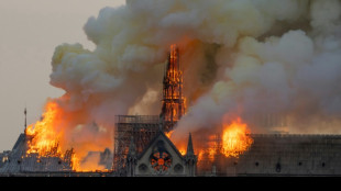 "Notre-Dame, la part du feu", première série sur l'incendie sur Netflix