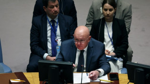 Russia 'regrets' IAEA report did not blame Ukraine: UN envoy