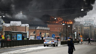 Incendio en el mayor parque de atracciones de Suecia