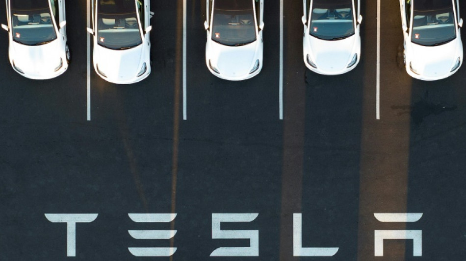 Landesregierung in Potsdam informiert über Genehmigung für Tesla-Ansiedlung