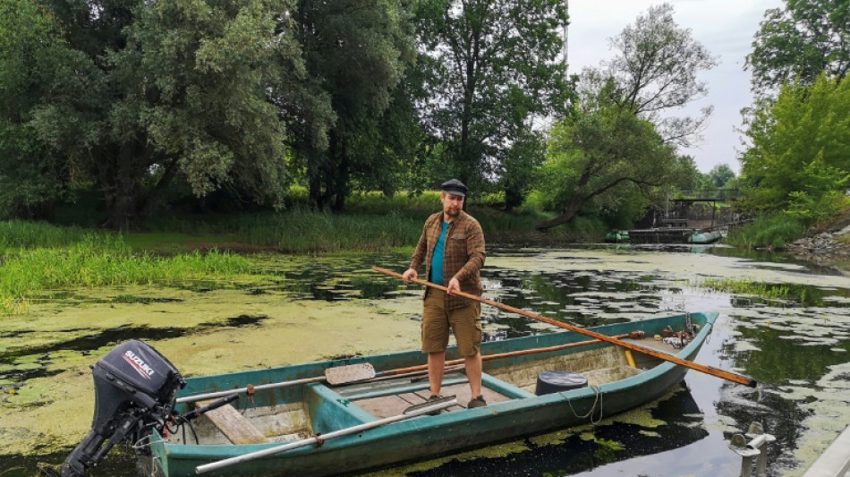 Pescadores temen otra hecatombe de peces por plaga de algas en río en Alemania