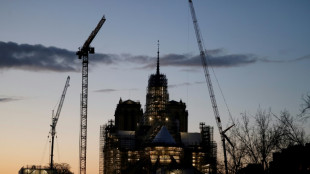 France begins to dismantle Notre-Dame scaffolding